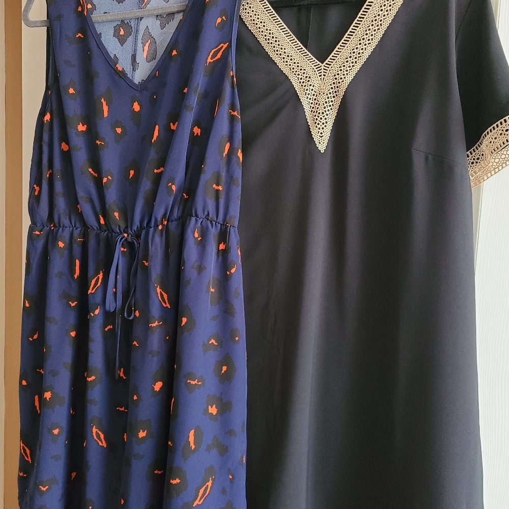 Shien Curve dresses size 2XL (16)